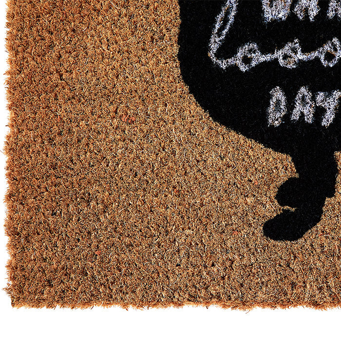Stylish Dog Doormat