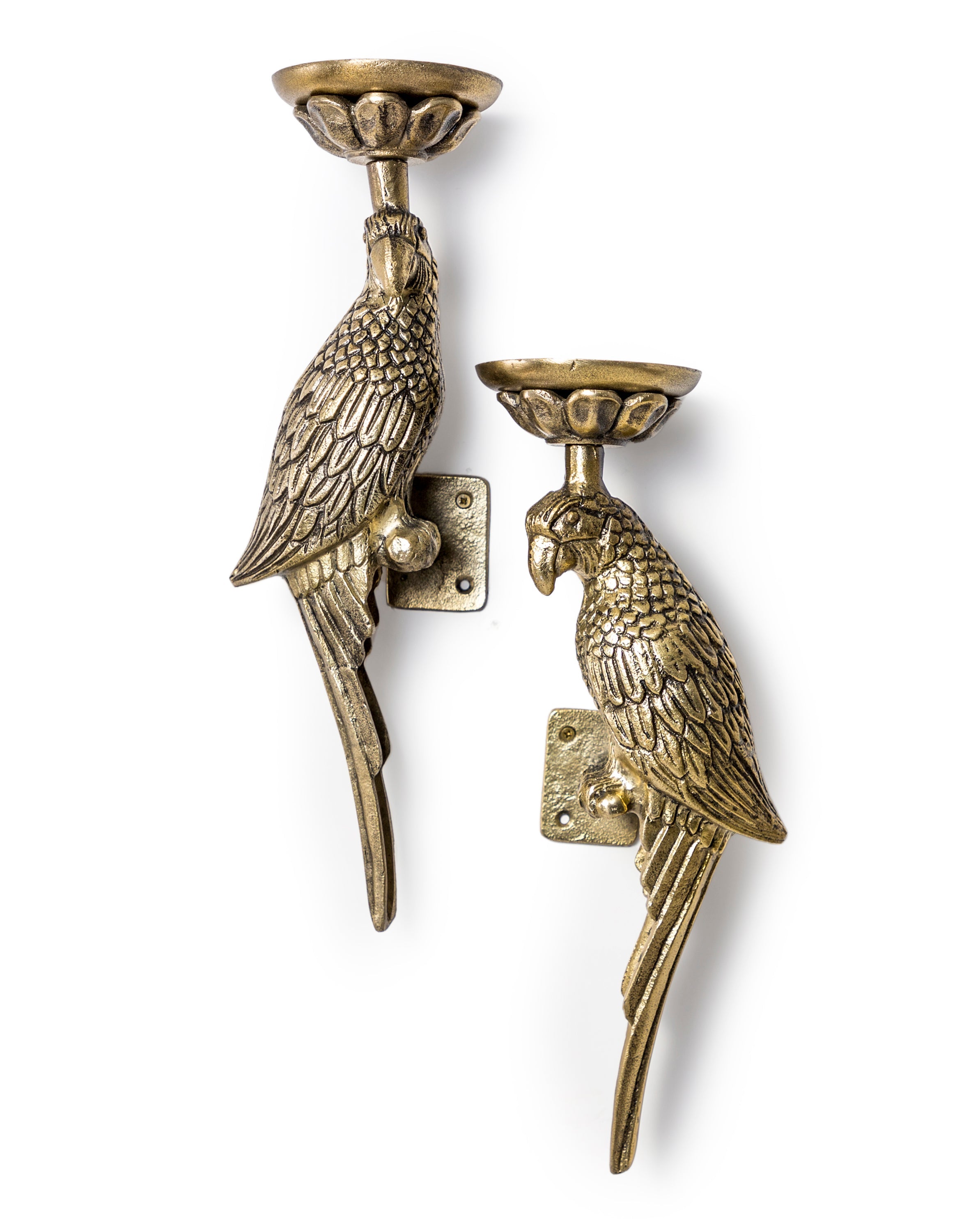 Pair of Gold Parrot Wall Sconces