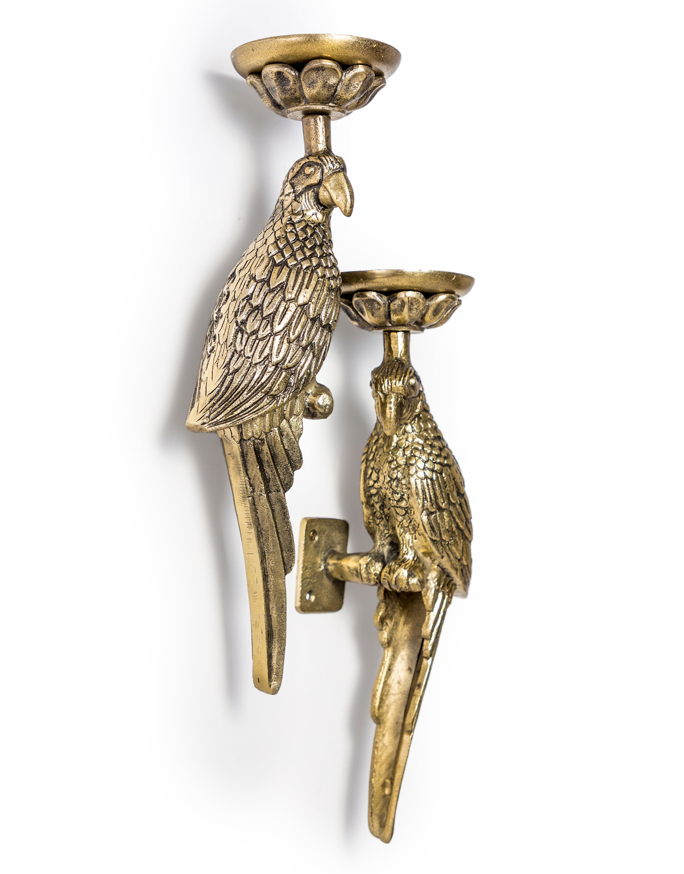 Pair of Gold Parrot Wall Sconces