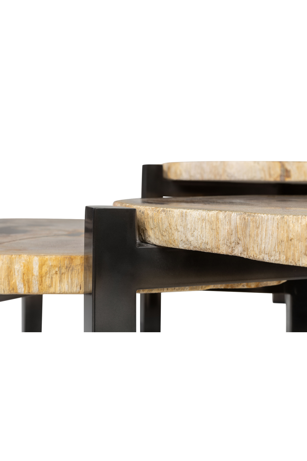 Petrified Wood Nested Coffee Tables (3) | Versmissen