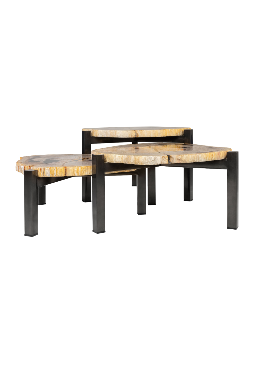 Petrified Wood Nested Coffee Tables (3) | Versmissen