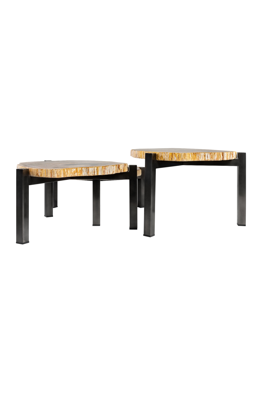 Petrified Wood Nested Coffee Tables (3) | Versmissen