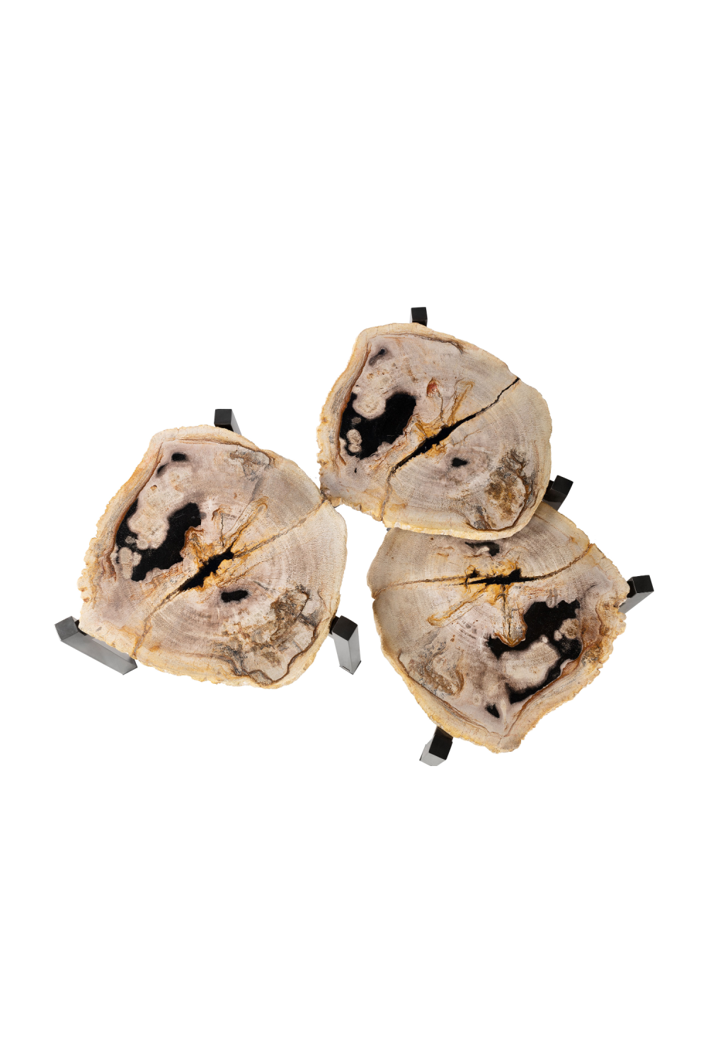 Petrified Wood Nested Coffee Tables (3) | Versmissen
