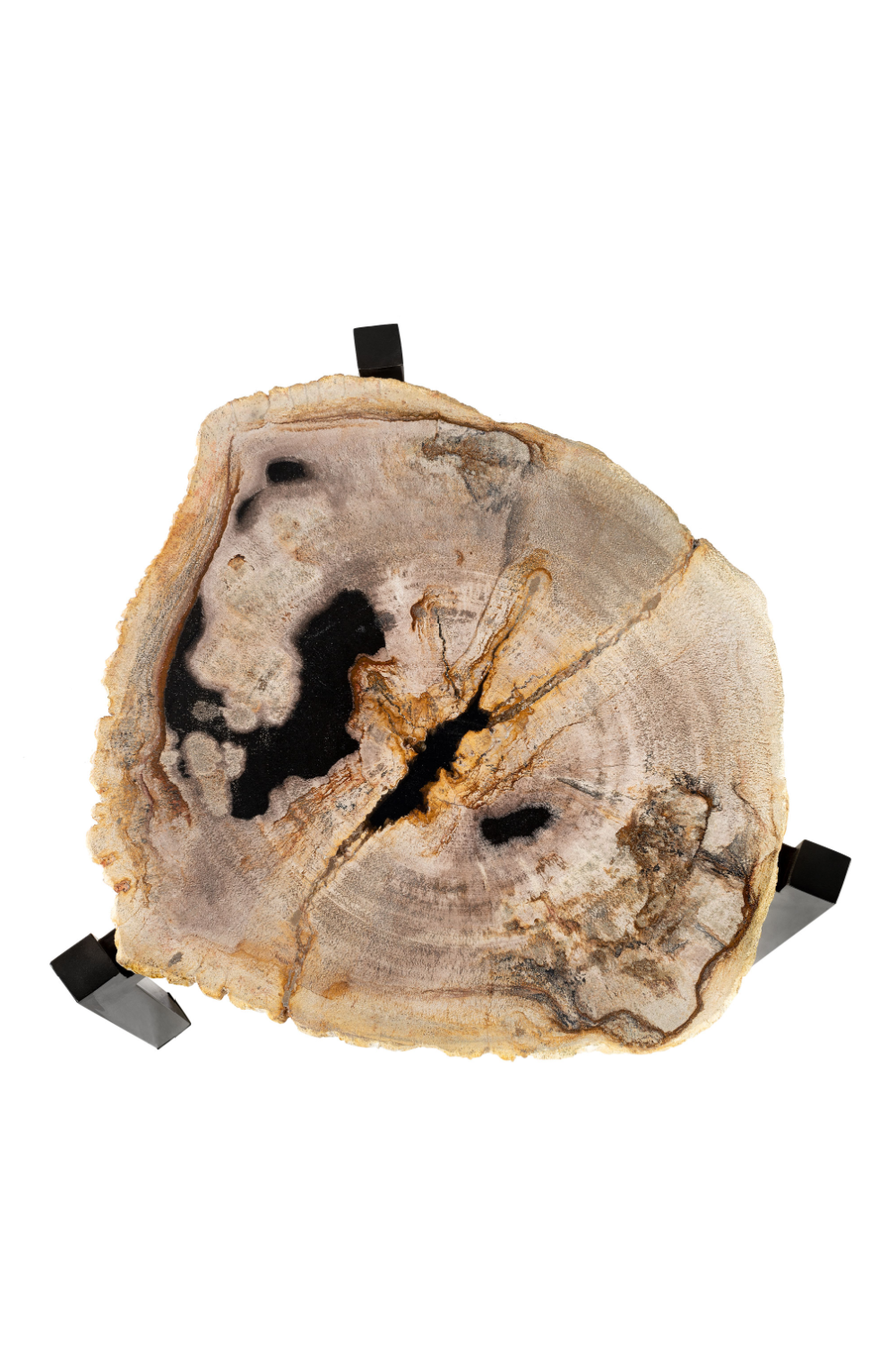 Petrified Wood Nested Coffee Tables (3) | Versmissen