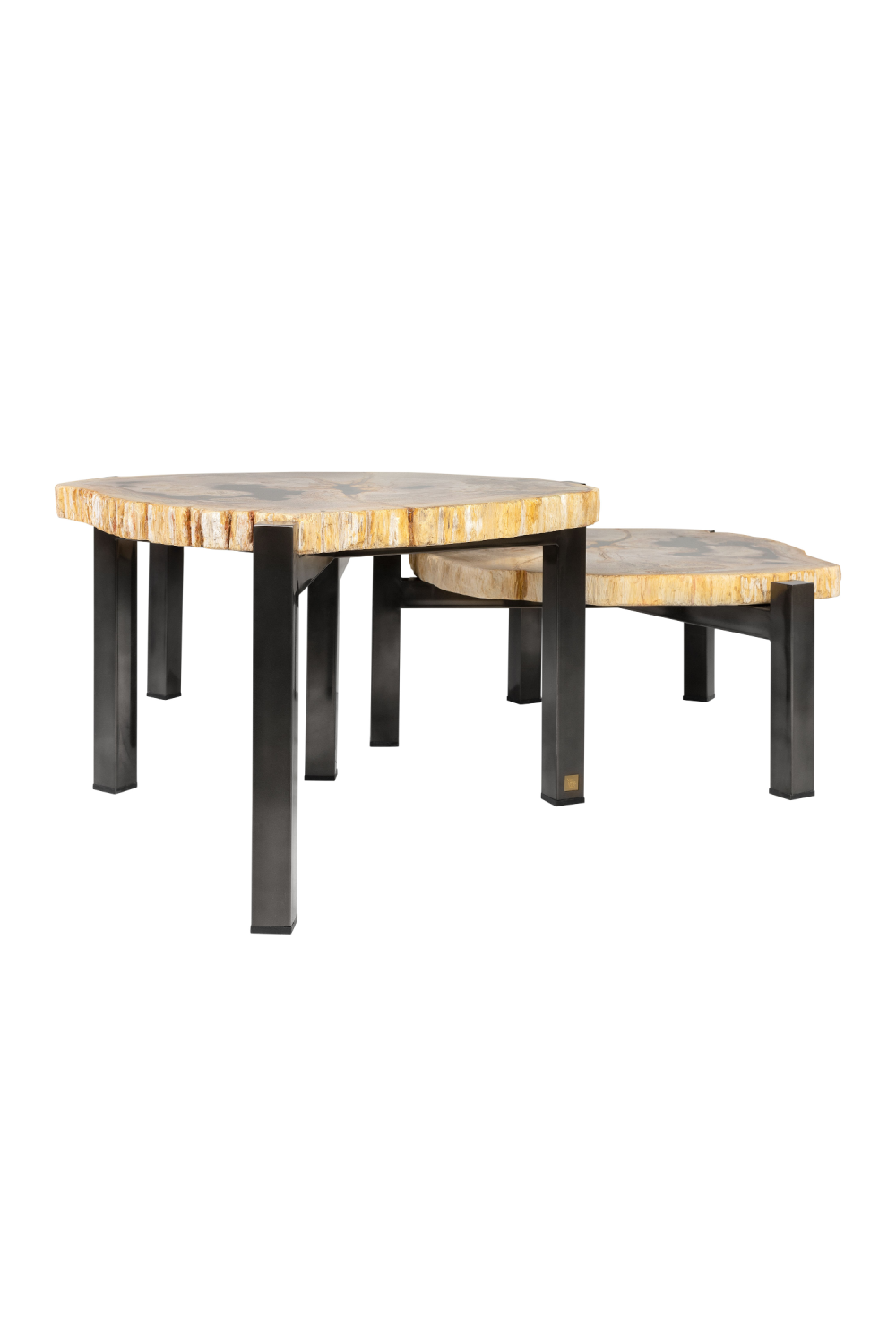 Petrified Wood Nested Coffee Tables (3) | Versmissen