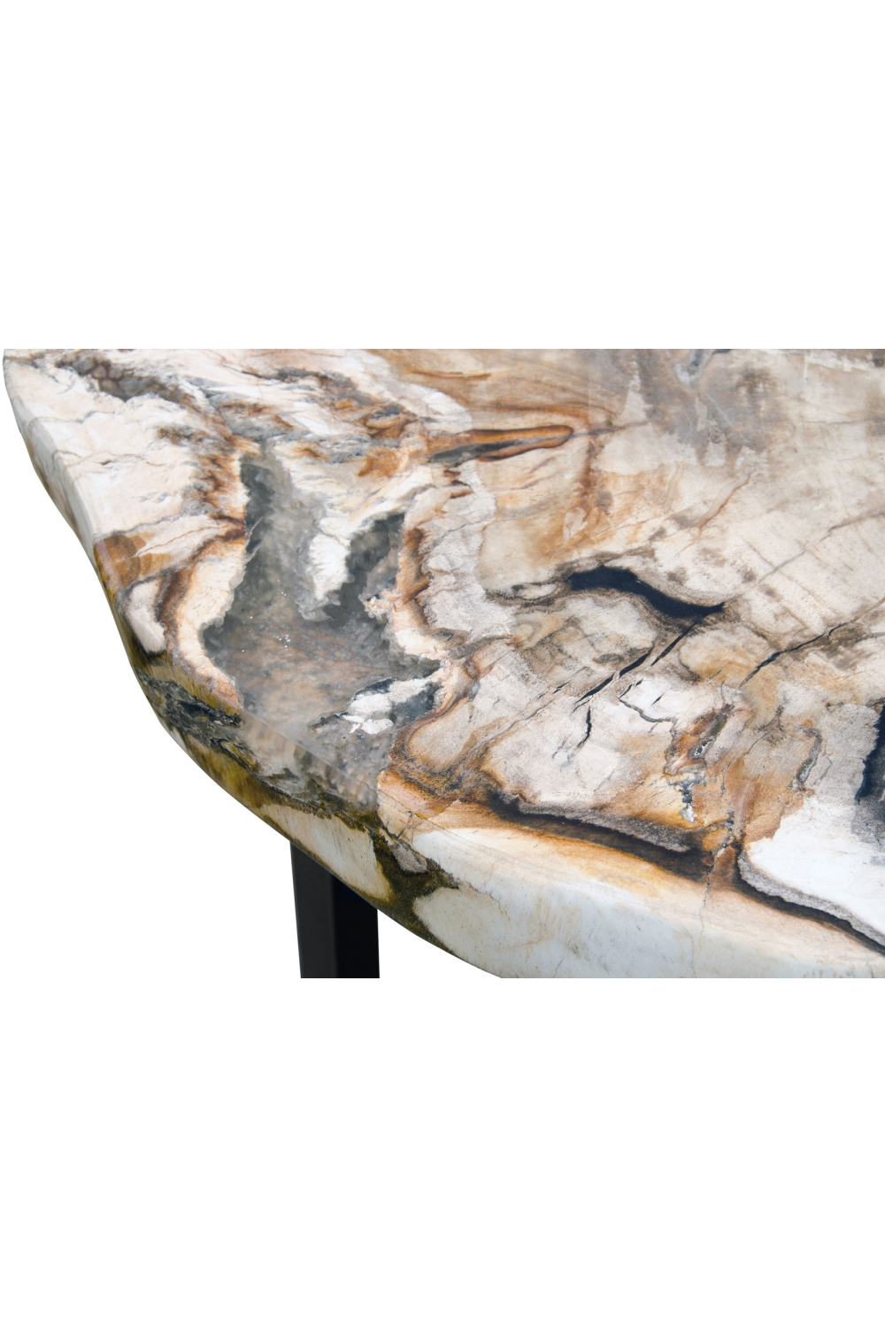 Petrified Wood Occasional Table | Versmissen