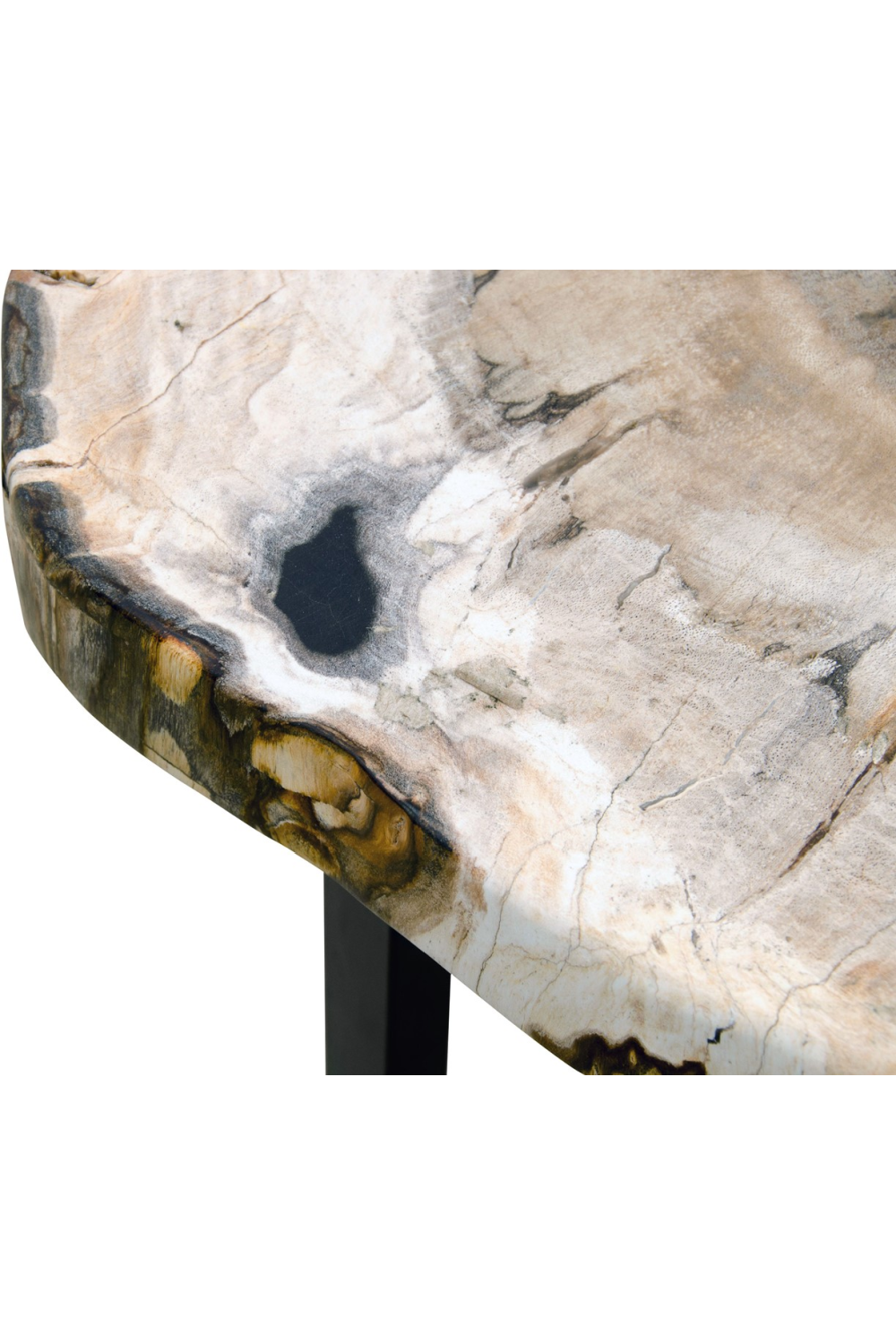 Petrified Wood Occasional Table | Versmissen