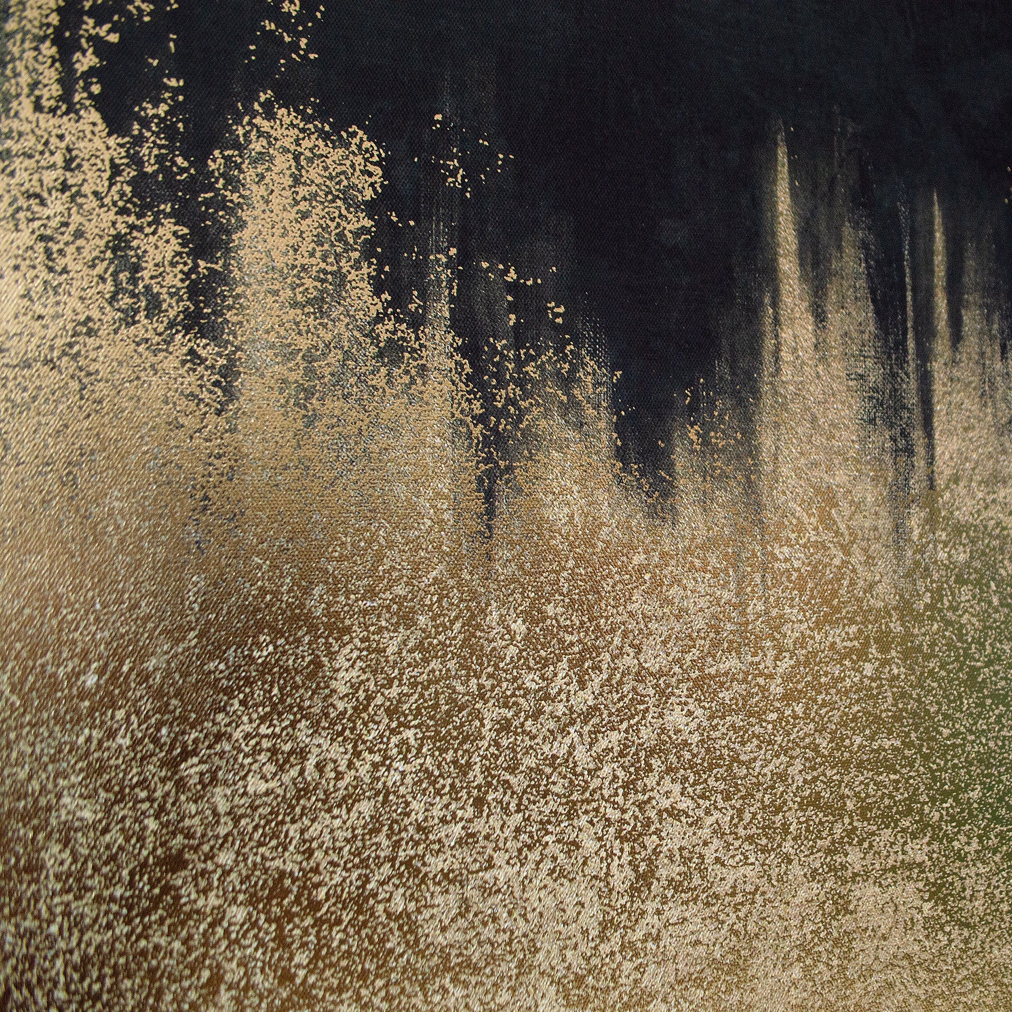 Gilded Noir Abstract Canvas Art
