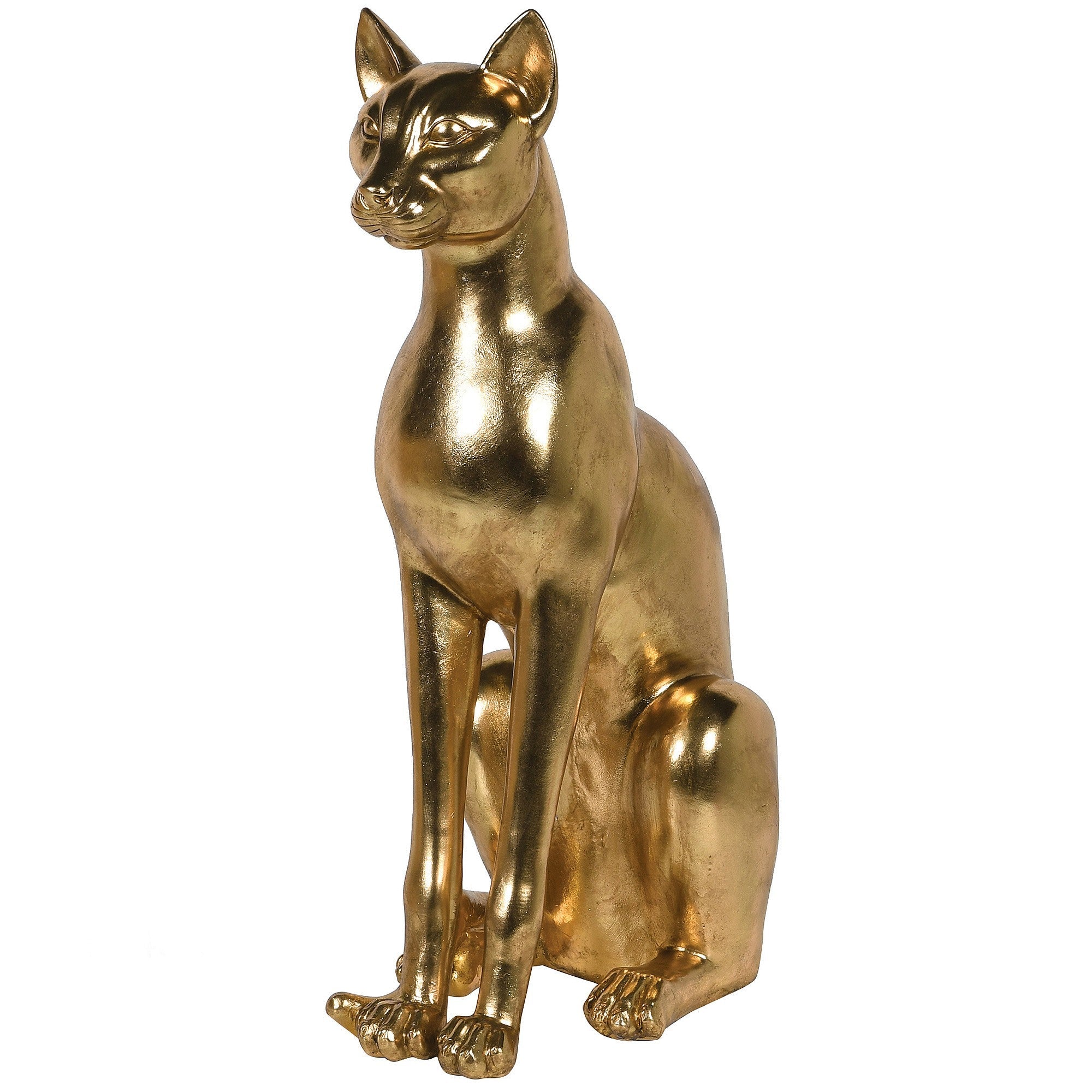 Large Golden Sphynx Cat | Sphinx