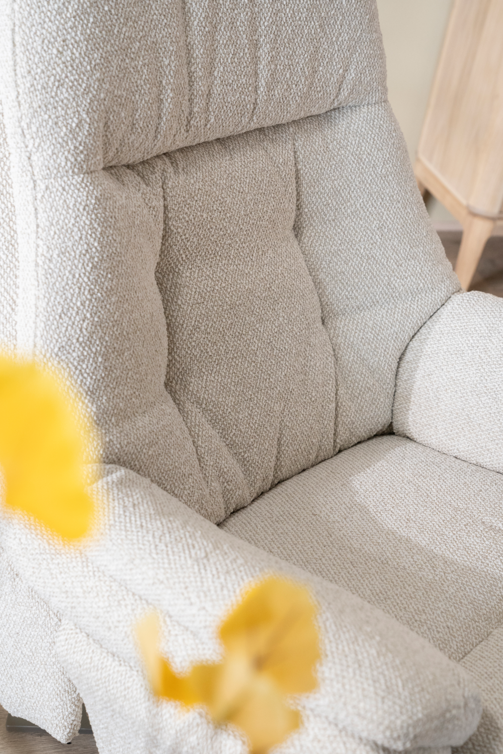 Upholstered Reclining Lounge Chair | Eleonora Caleb