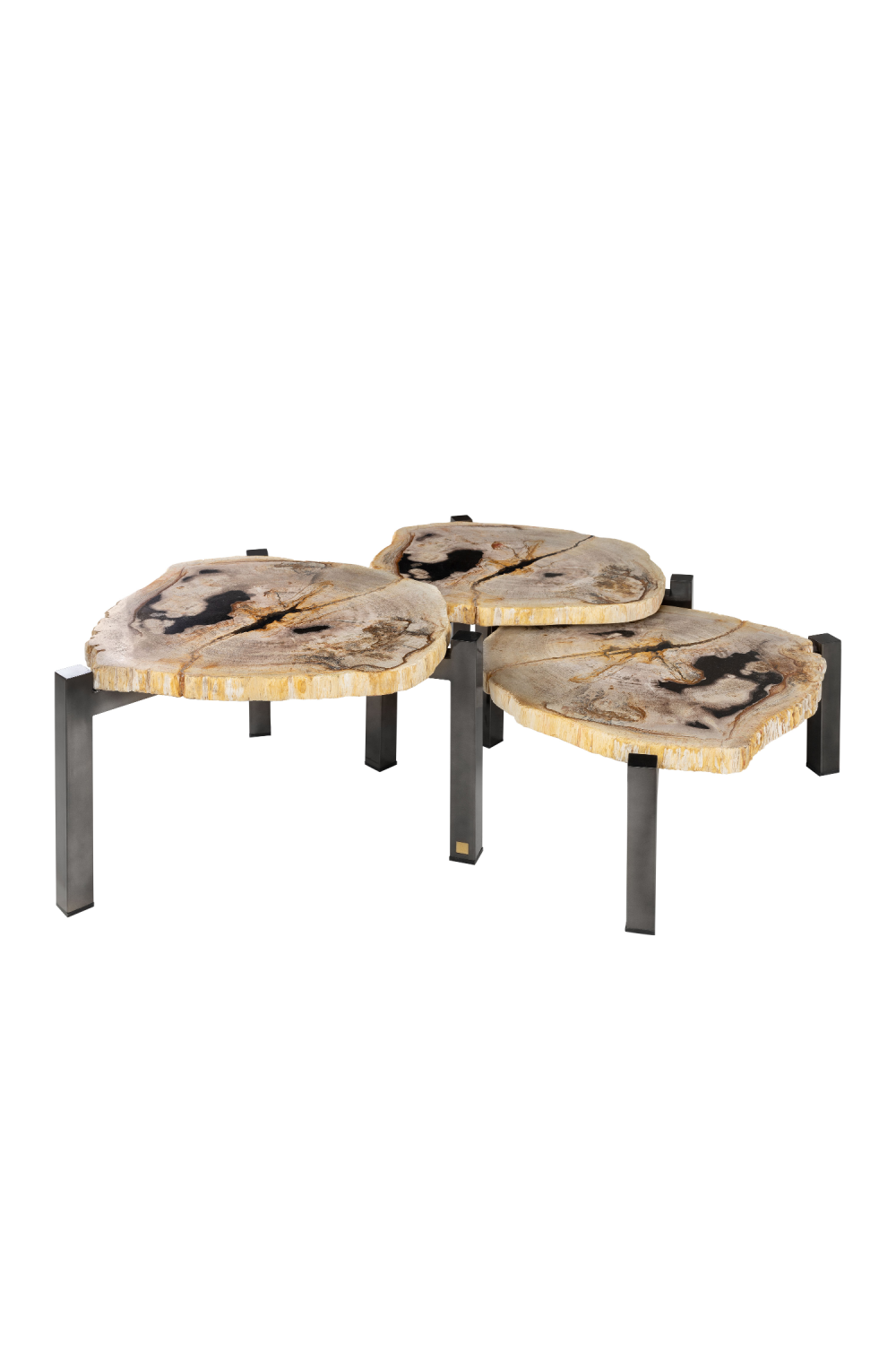 Petrified Wood Nested Coffee Tables (3) | Versmissen