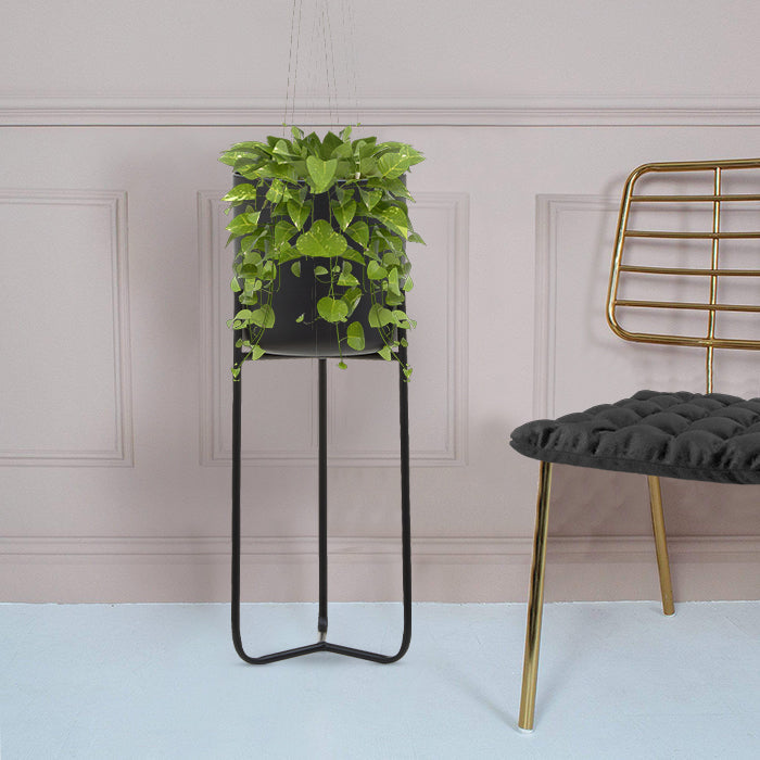 Large Black Floor Planter