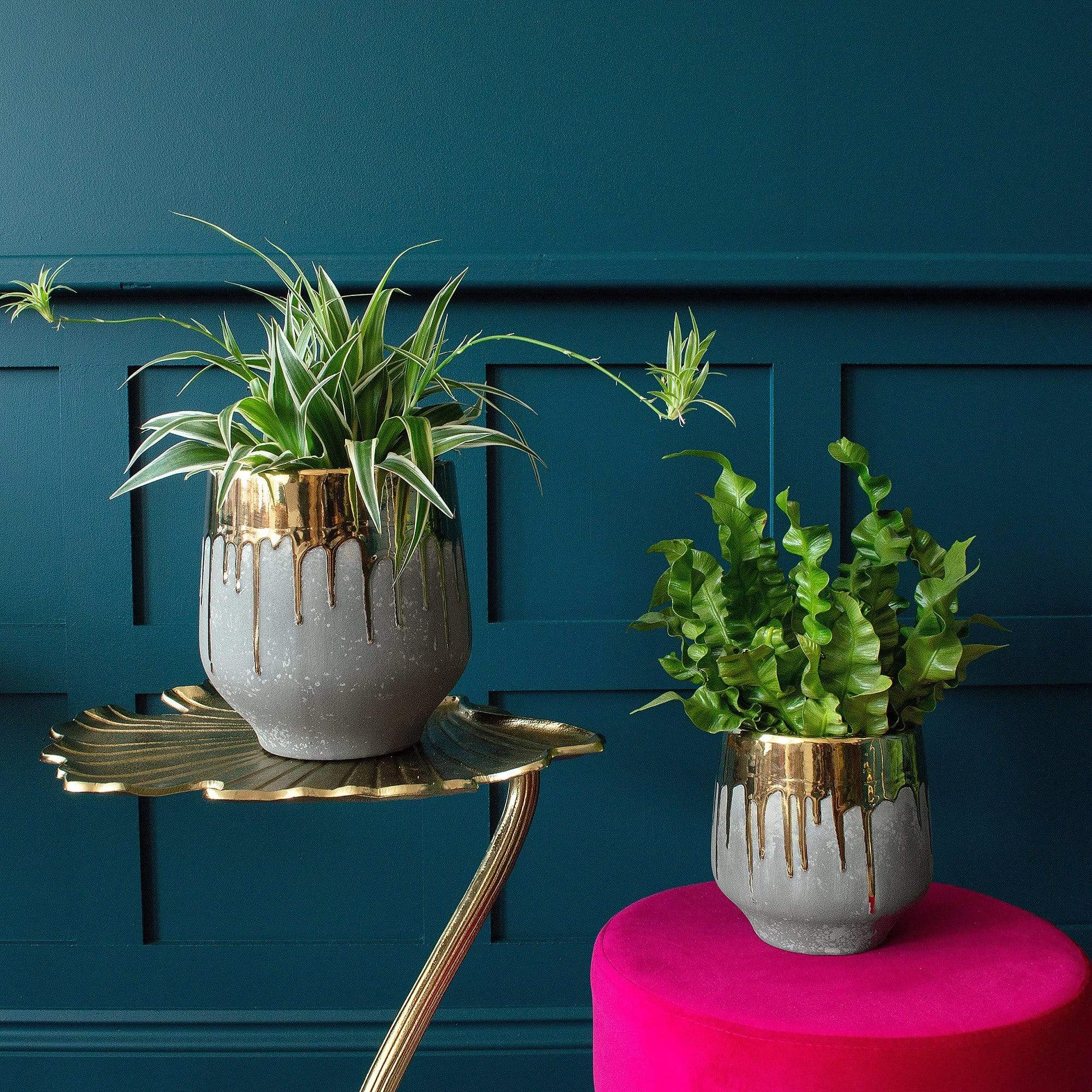 Dripping Gold Concrete Effect Plant Pot