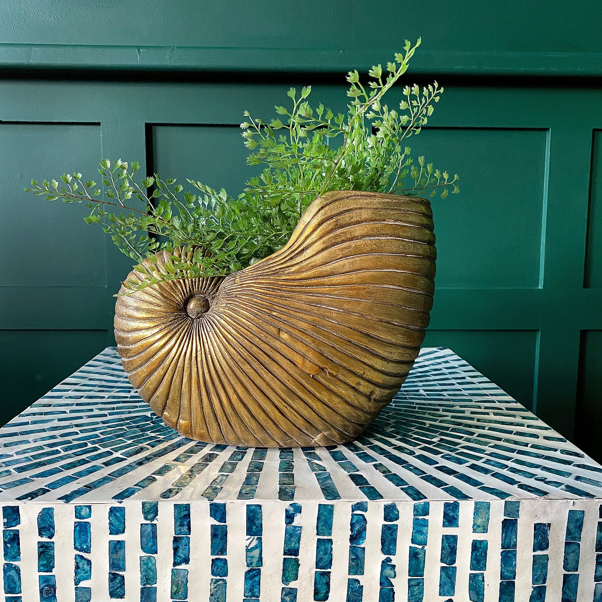 Glorious Gold Shell Planter