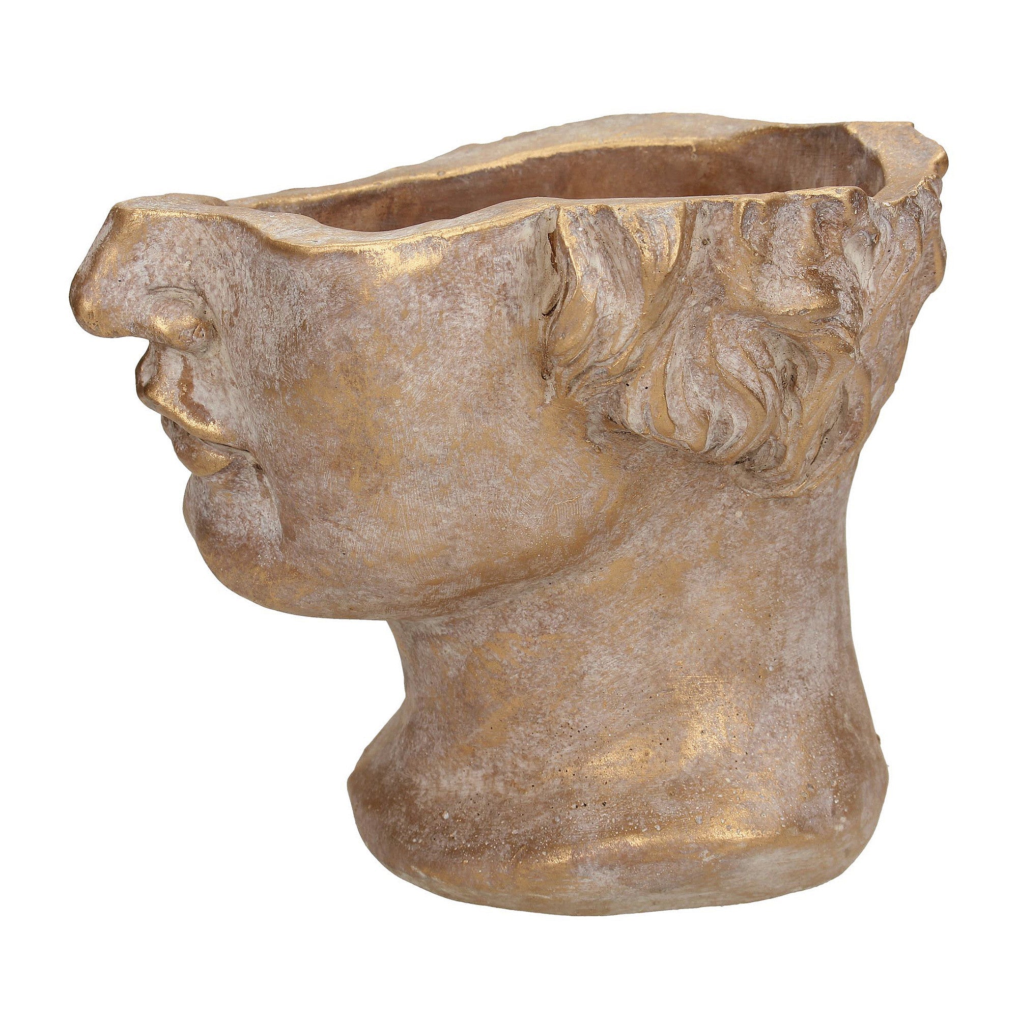 Golden Concrete Face Planter