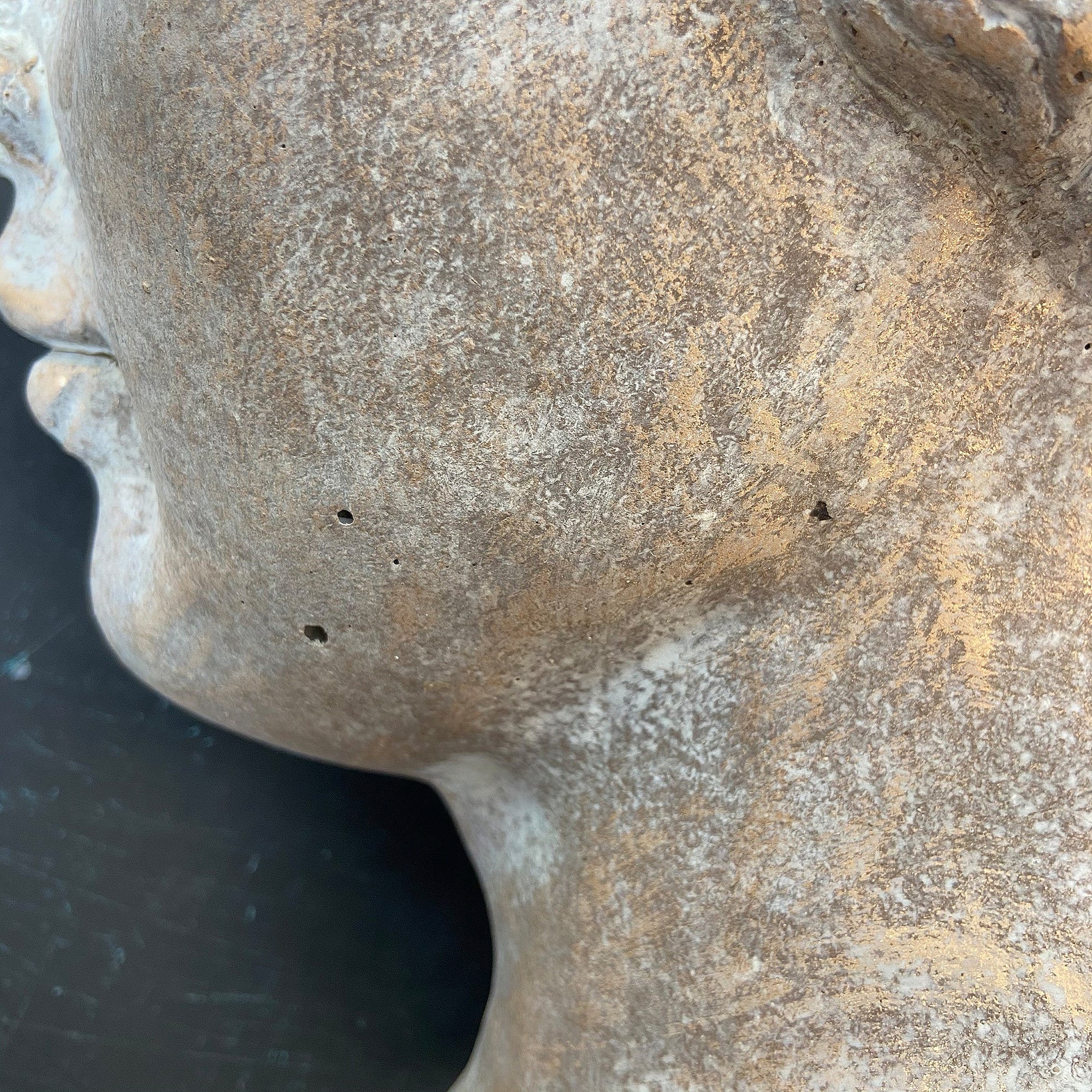 Golden Concrete Face Planter