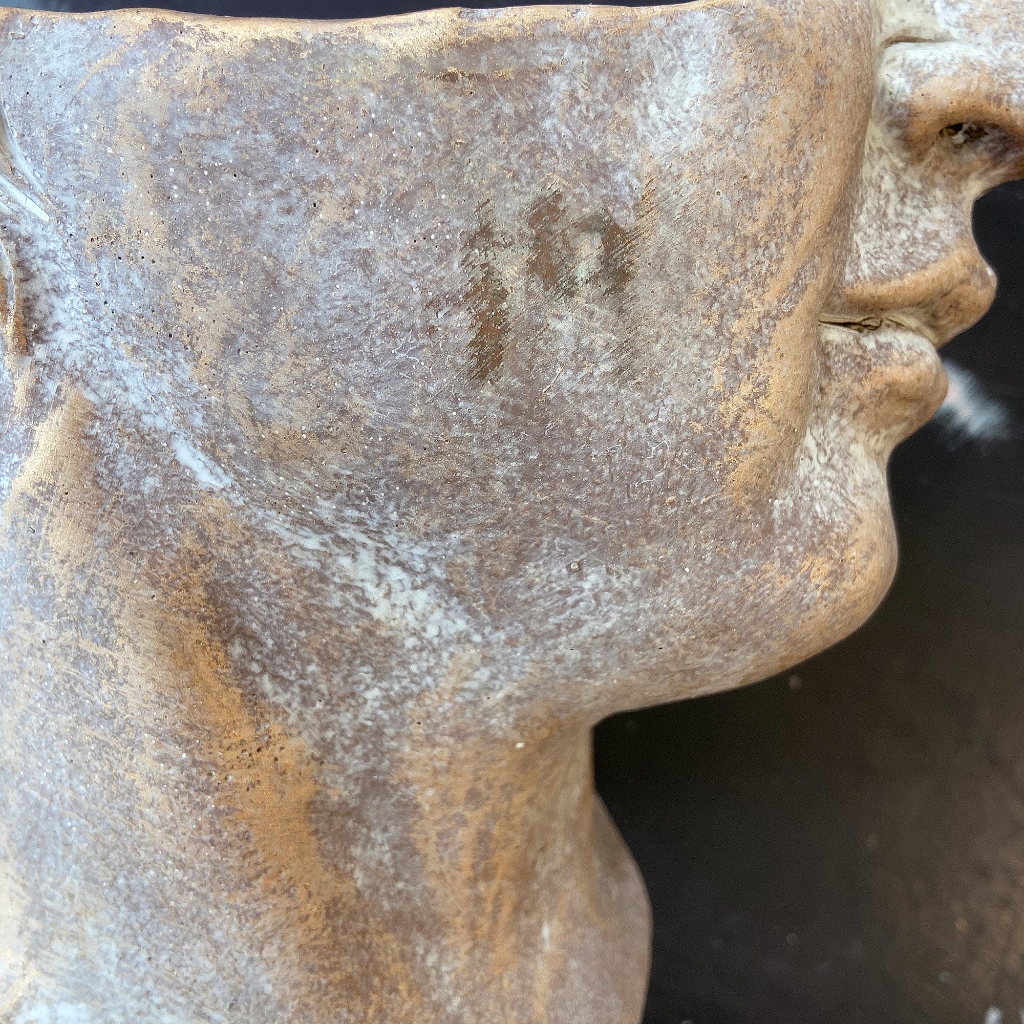 Golden Concrete Face Planter