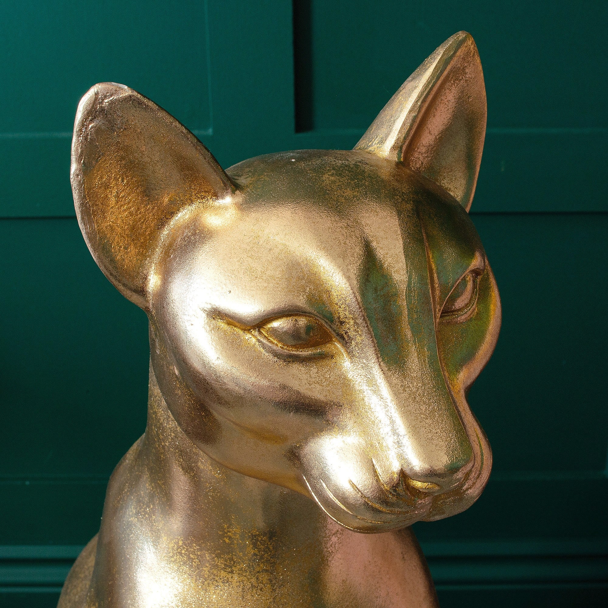 Large Golden Sphynx Cat | Sphinx