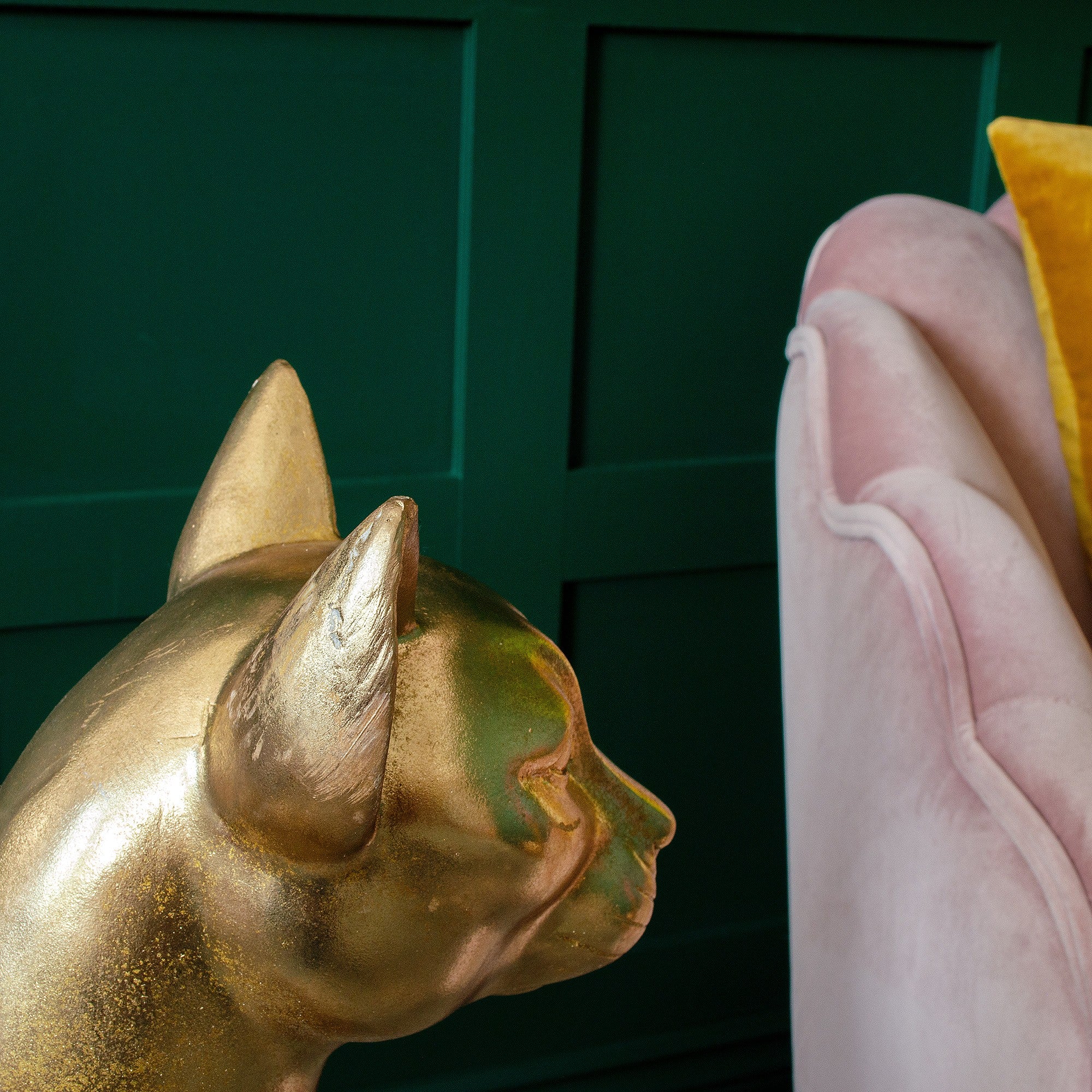 Large Golden Sphynx Cat | Sphinx