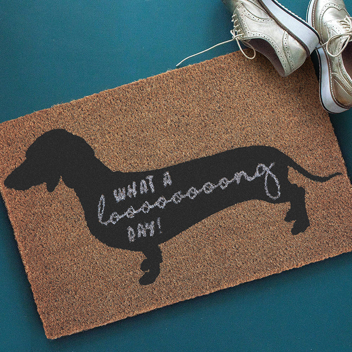 Stylish Dog Doormat